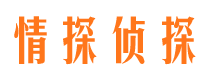 靖宇市侦探调查公司